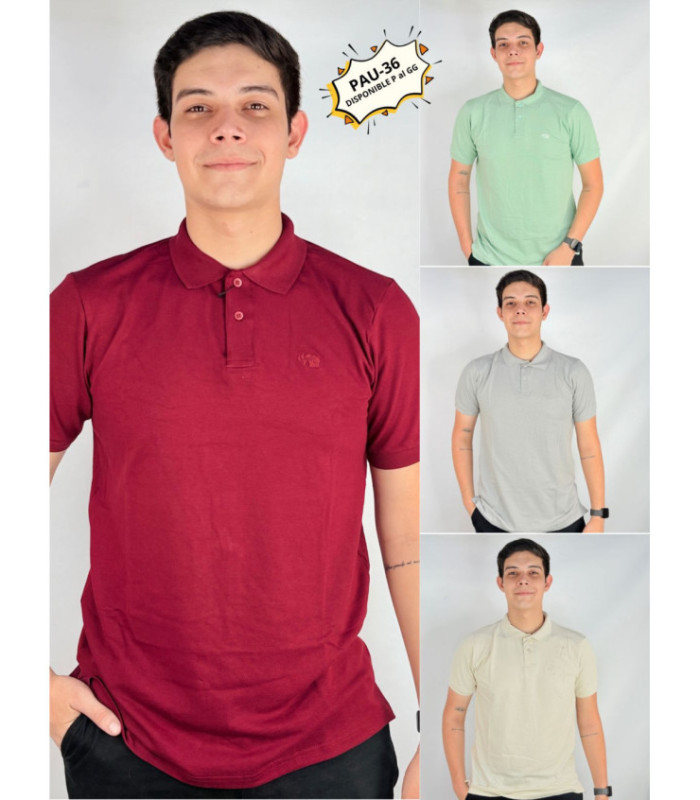 REMERA MASC.CON CUELLO