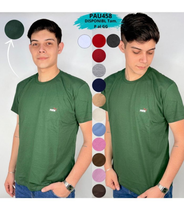 REMERA MASC.M/C ALGODON.P AL GG