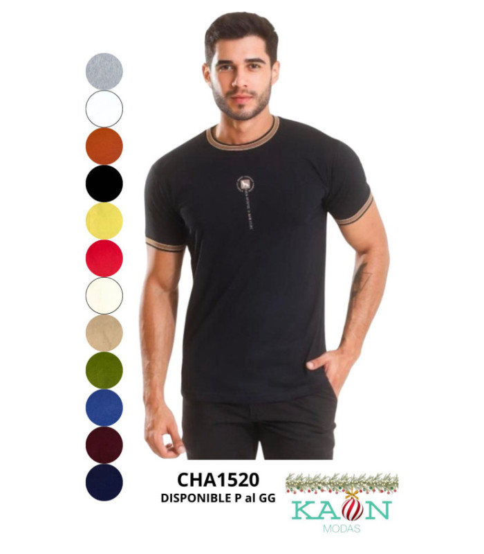 REMERA M/C MASC.ALGODON P AL GG